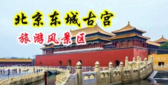色网-羞羞答答中国北京-东城古宫旅游风景区